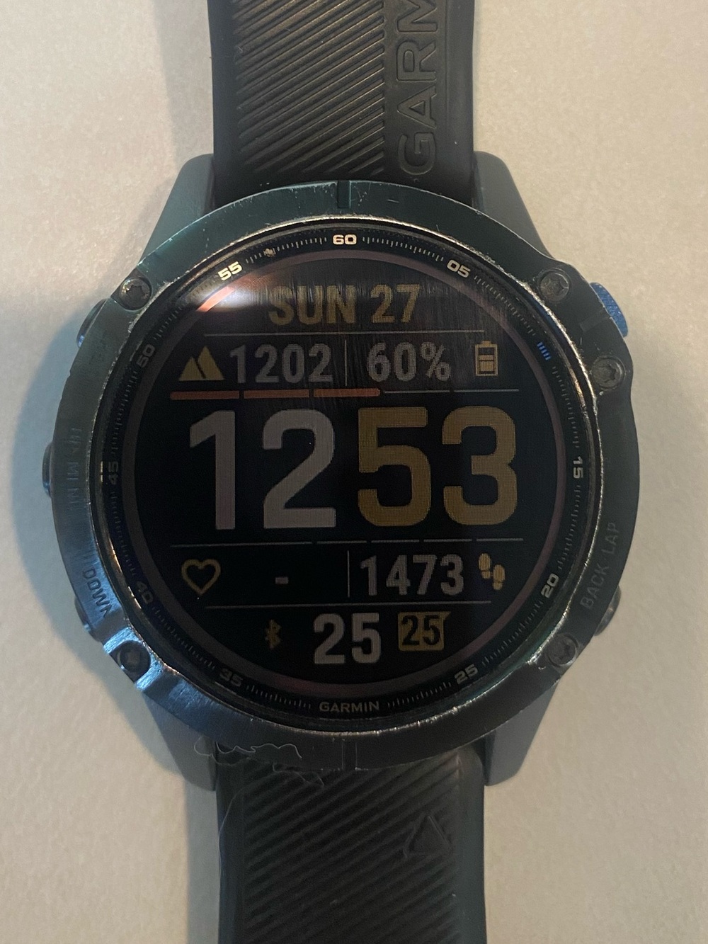 GARMIN FENIX 6S PRO SOLAR EDITION BLACK RUBBER BAND & CHARGER